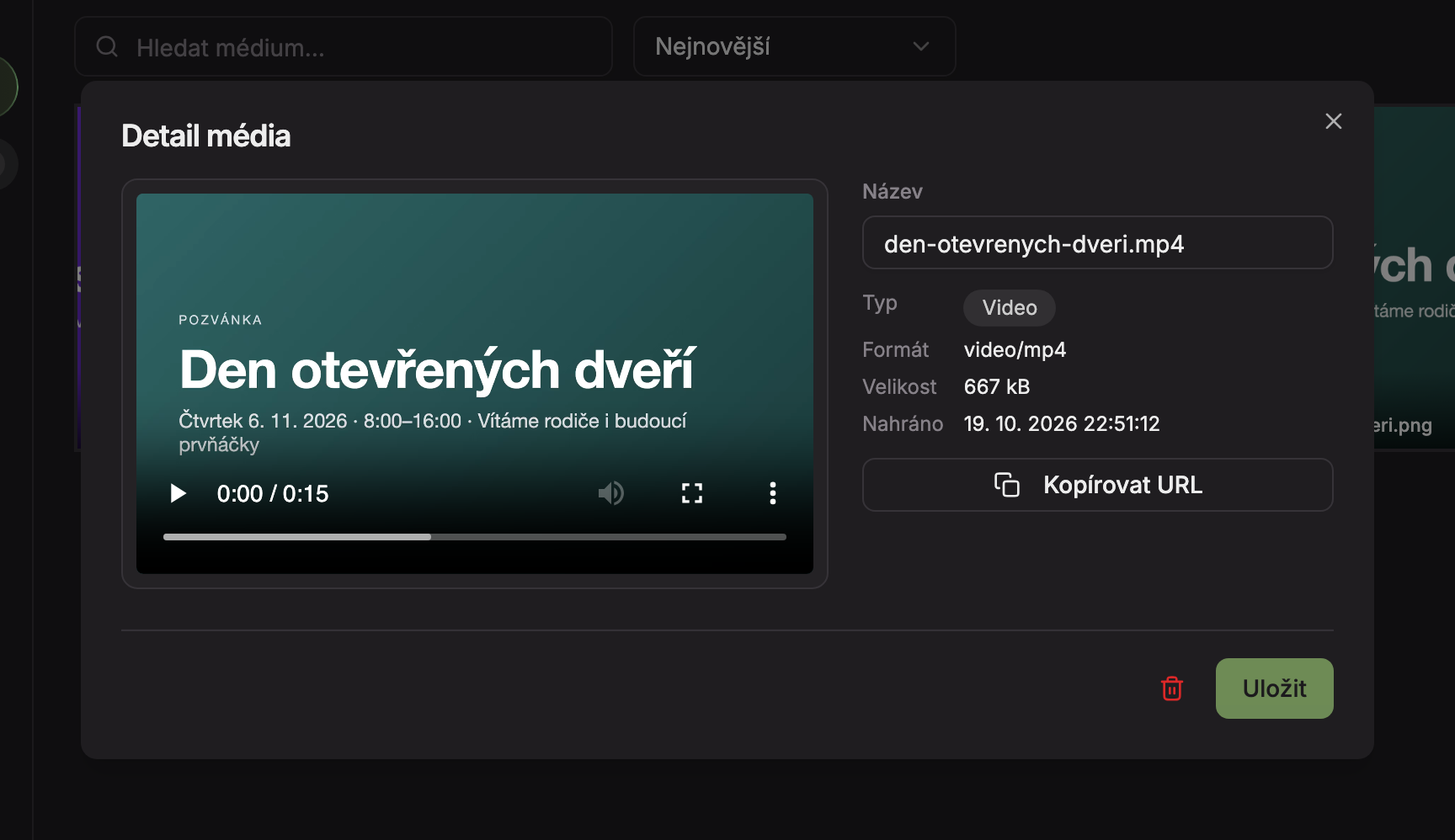 Detail videa s přehrávačem a typem Video